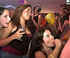 Hot horny party girls go wild